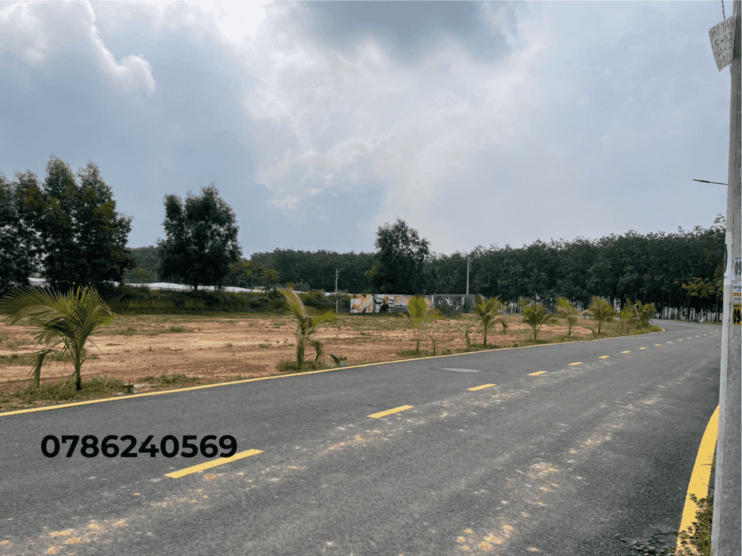 Sở hữu đất nền Bình Dương chỉ từ 600 triệu