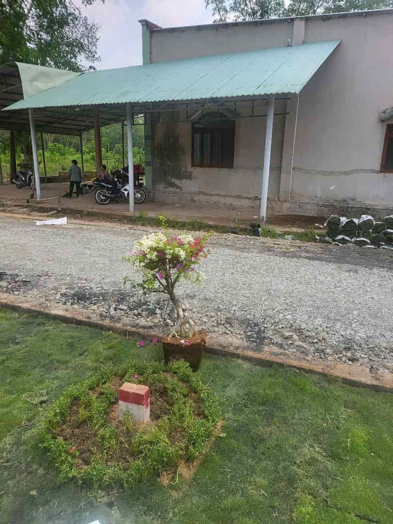 ĐẤT GẦN ĐƯỜNG HCM, BÀU BÀNG