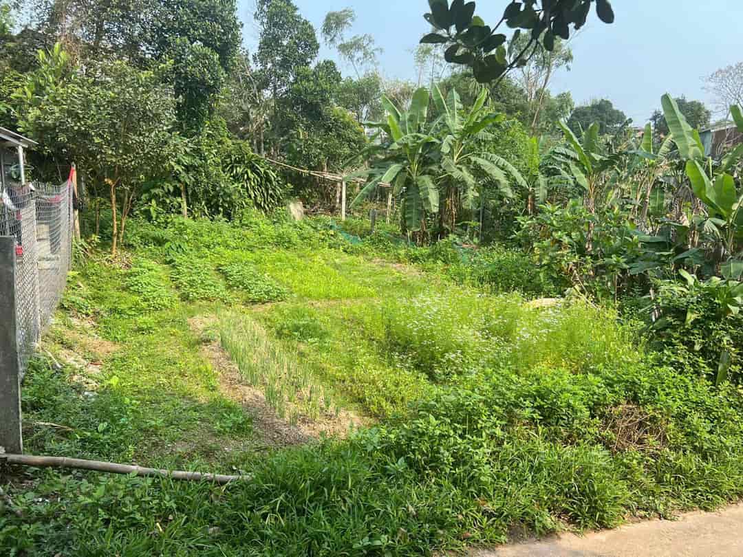 CHÍNH CHỦ CẦN BÁN ĐẤT HÒA NHƠN, HÒA VANG, ĐÀ NẴNG