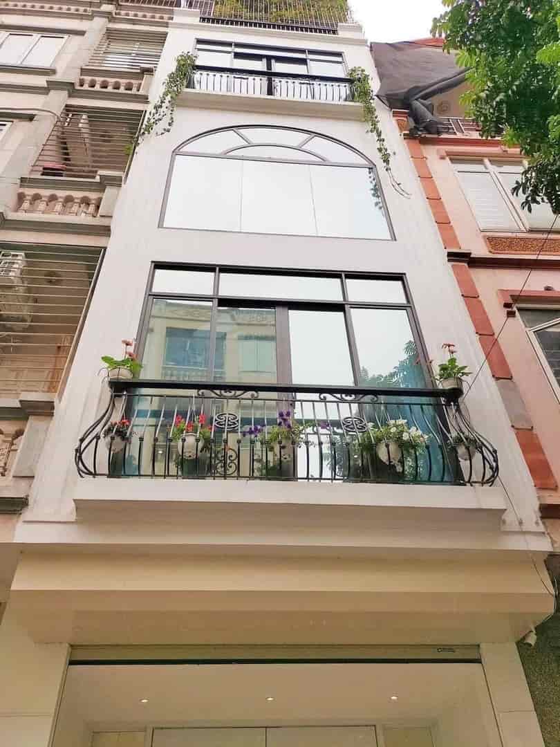 PHÂN LÔ HOÀNG SÂM, SIÊU PHẨM GIÁ ĐẦU TƯ DUY NHẤT, 52M², Ô TÔ TRÁNH GIÁ 17 TỶ 800, CẦU GIẤY