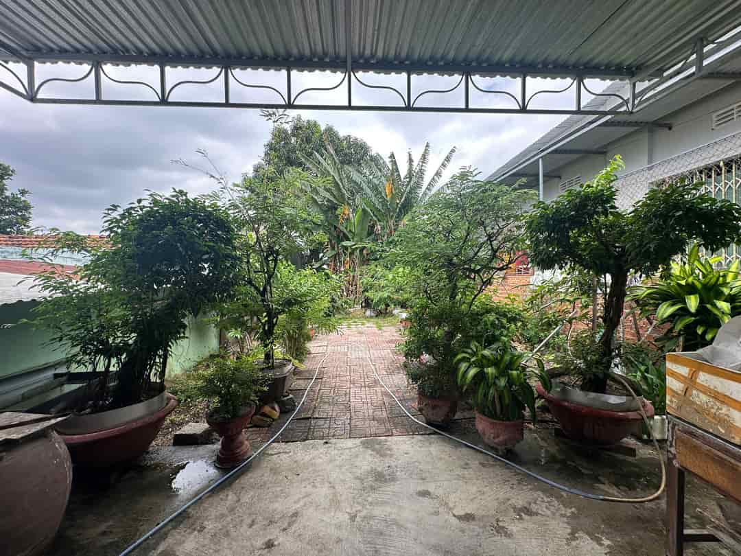 Bán nhà vườn Vĩnh Hoà cách biển chỉ 1,4Km Giá chỉ 30 triệu/m² giá tổng 14ty760tr