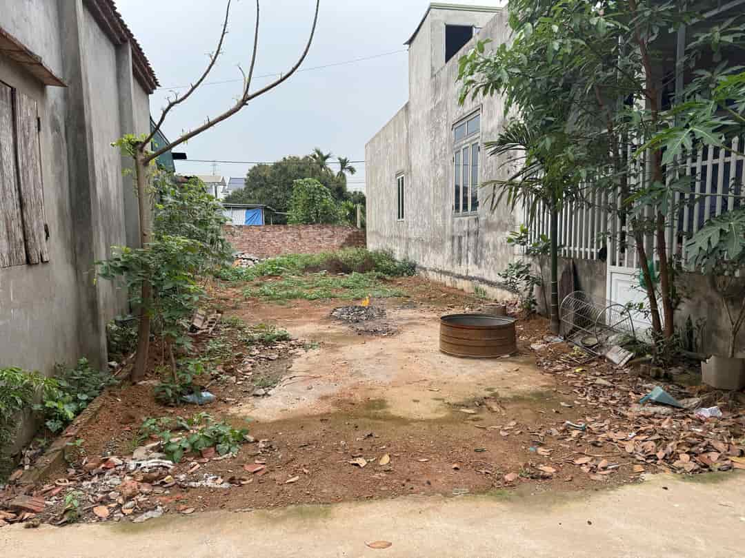 Hai lô đất cần bán nhanh 65m và 54m xã đông phương yên, Chương mỹ