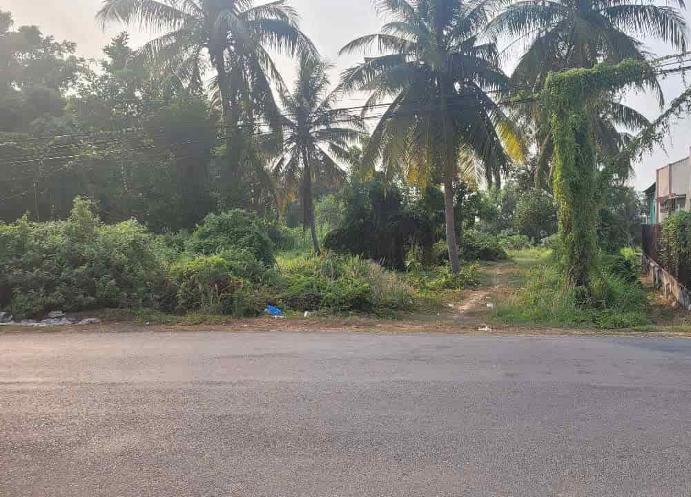 CẦN BÁN ĐẤT 13000m2 - Tại Phường Long Thành Trung- Trung Tâm Thị Xã Hòa Thành - tỉnh Tây Ninh - chỉ hơn 2T