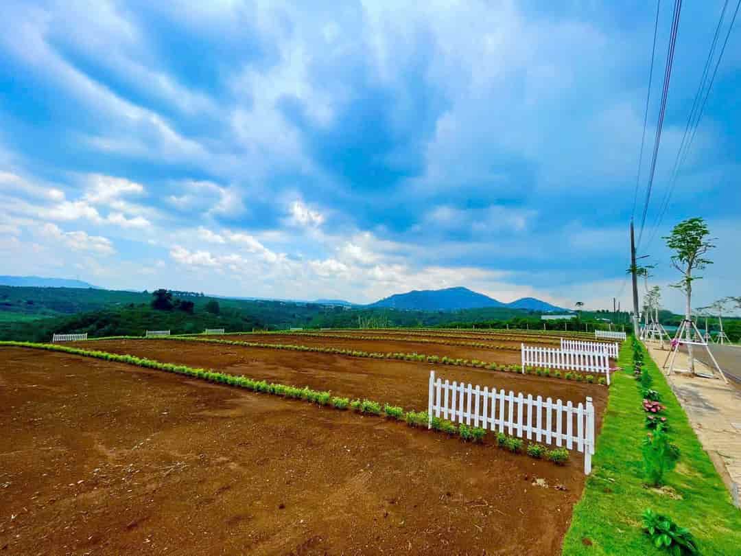 21 NỀN ĐẤT NGHỈ DƯỠNG DI LINH, GIÁ CHỈ TỪ 7XX TRIỆU, SỔ RIÊNG TỪNG LÔ