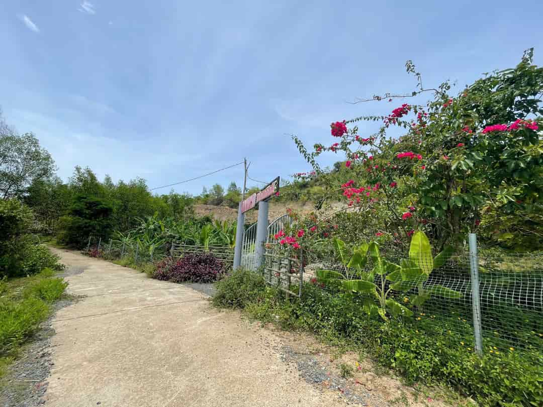 Bán 4700m thôn Nước Nhĩ, Khánh phú ngang 78m bám đường oto betong 6m