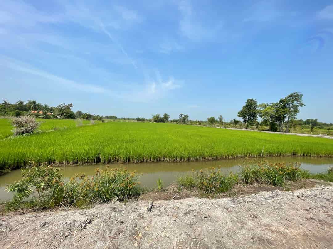 Chính chủ bán 6000m2 đất nông nghiệp gần sông Vàm Cỏ Đông