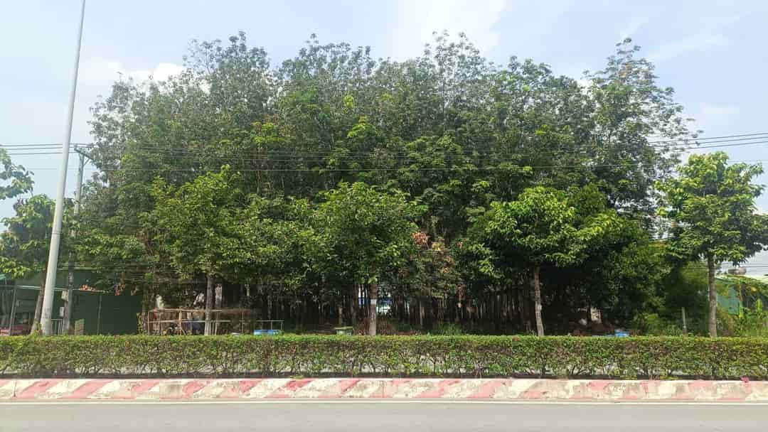 Bán đất 2 mặt tiền Hùng Vương, p. Tây Nam, HCM An Tây, Bến Cát, Bình Dương cũ 1106m2