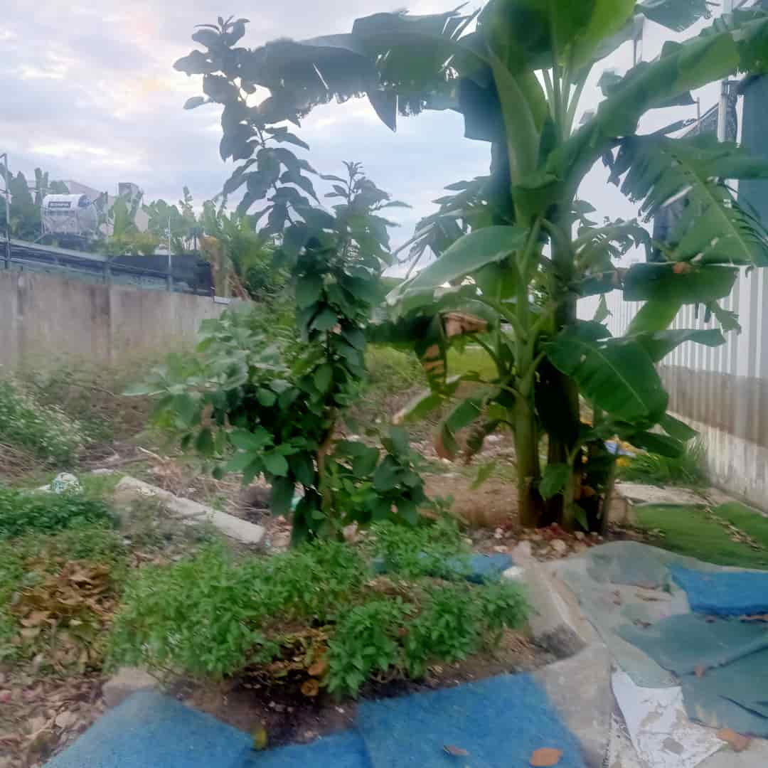 CẦN BÁN LÔ ĐẤT 500m2 KHU ĐÔ THỊ SINH THÁI VEN SONG HÒA XUÂN