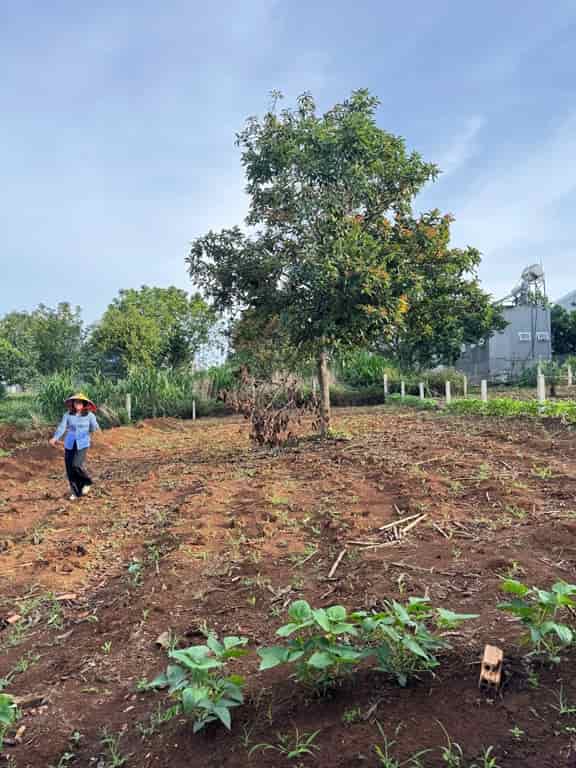 ĐẤT ĐẸP - GIÁ TỐT - Bán GẤP Lô Đất Tiềm Năng Tại Xã Đông Thanh Lâm Hà Lâm Đồng