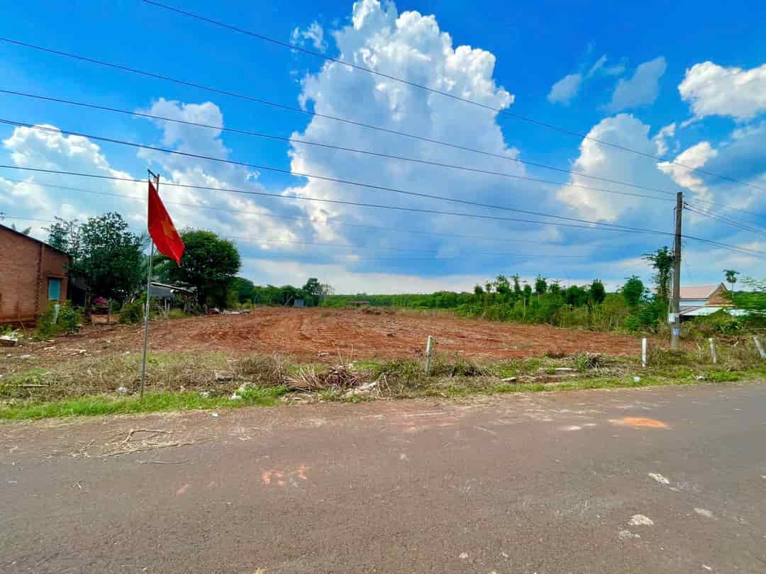 Cần Bán Nhanh Lô Đất Đường Bàu Lâm, Hoà Hiệp, Xã Bàu Lâm, Huyện Xuyên Mộc, Bà Rịa, Vũng Tàu